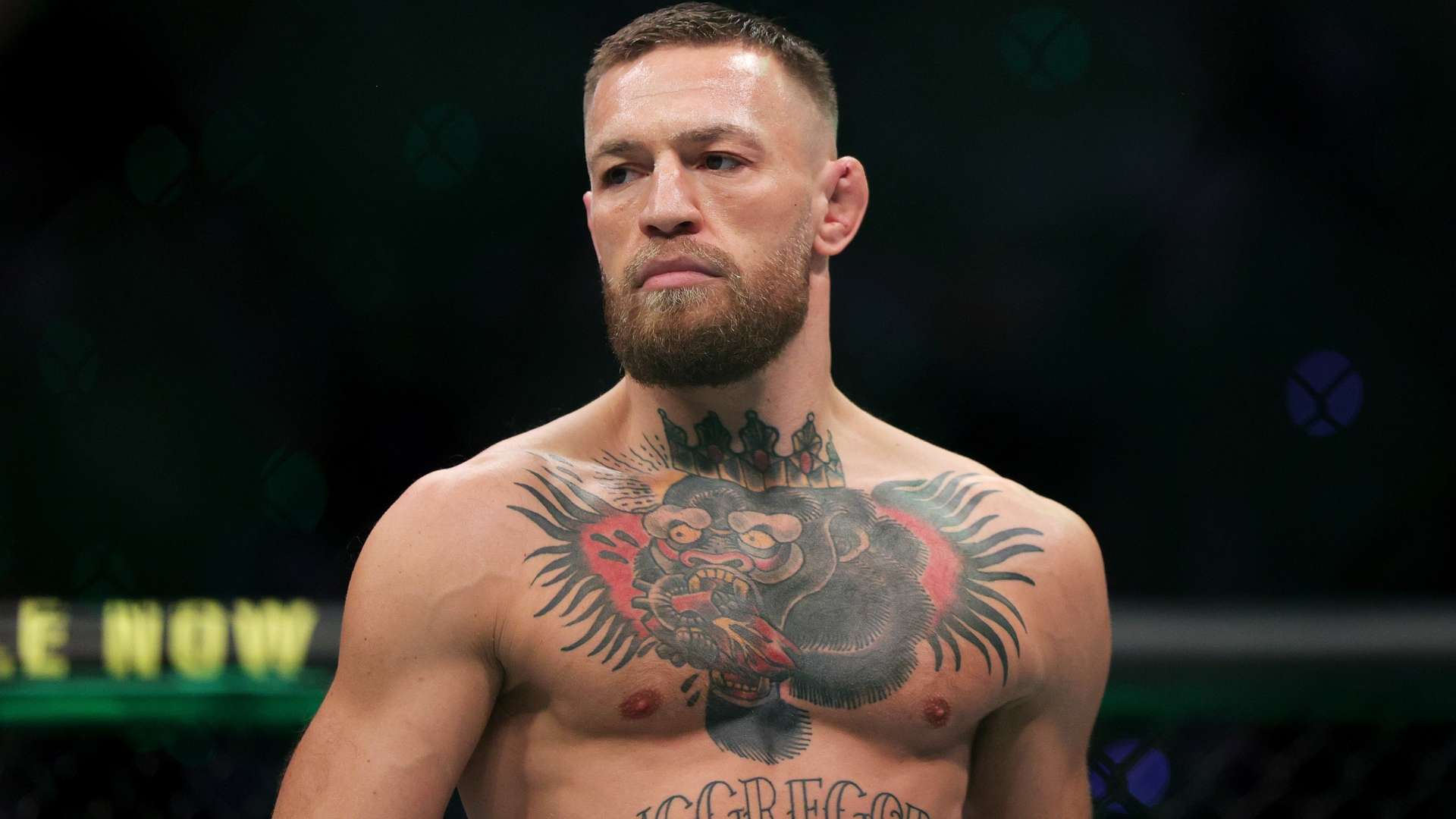 他们相信 他们相信