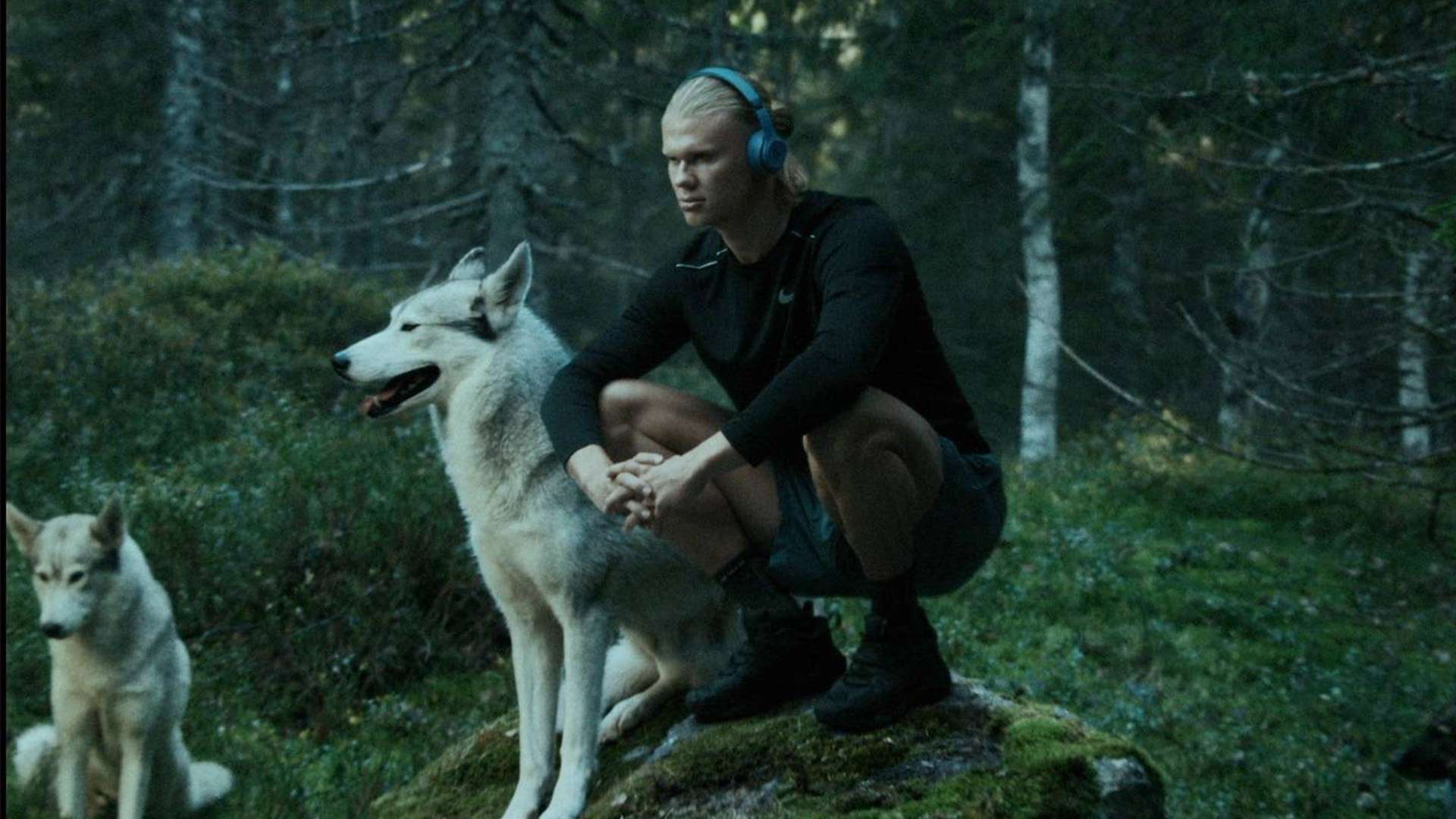 将可能导致 将可能导致