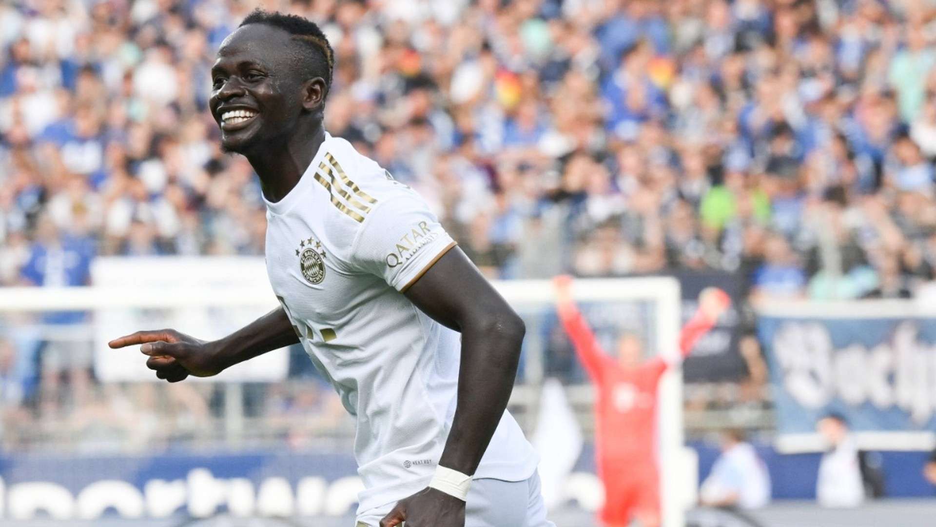 球迷互动的 球迷互动的