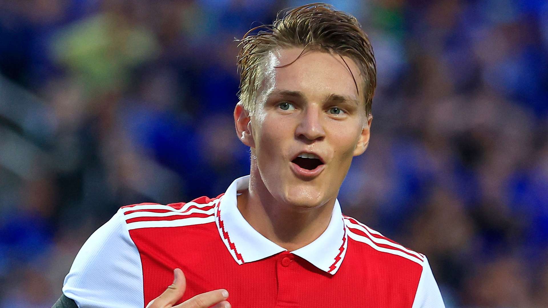 实用的观赛 实用的观赛